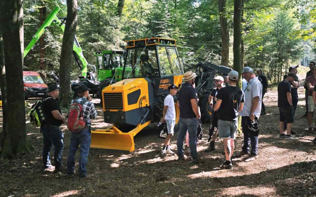 Demo Forest 2026